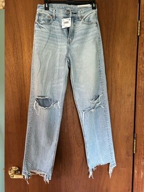 American Eagle Outfitters Light Blue Distressed Straight Leg Jeans